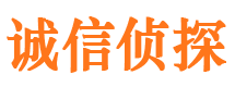 大安区婚外情调查